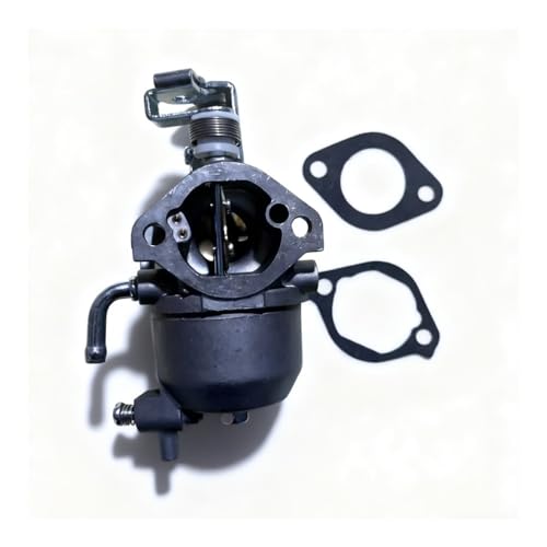 Réparer un moteur qui cale avec le carburateur 808656 et 602061