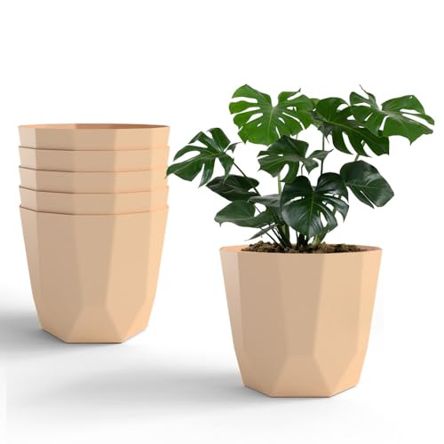 Image of YUCCABE ITALIA SHERA Hexa Plastic Planter Pot for Plants Decorative Flower Pot UV Protected Lightweight Indoor Outdoor Gamla for Home Decor, Balcony, Garden & Living Room (Beige, 6 INCH - 6 Pcs)