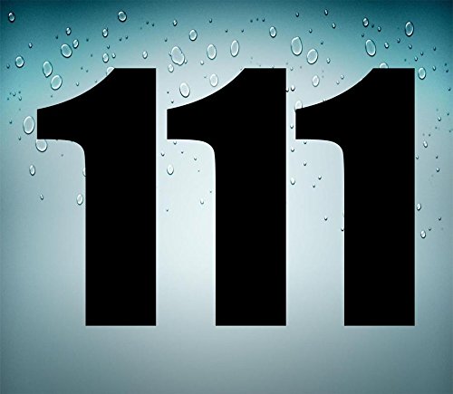 Autocollant Plaque Immatriculation 13 Set 3x Autocollant Sticker Voiture Moto Porte Numéro Chiffre Course 999 Blanc Lo Autocollant Moto - Foto 9