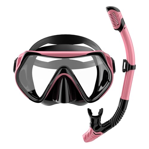 Adult Dry Top Snorkel Set