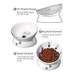Y YHY Cat Bowl Anti Vomiting, Raised Cat Food Bowls, Tilted Elevated Cat Bowl, Ceramic Pet Food Bowl for Flat Faced Cats, Small Dogs, Protect Pet's Spine, Dishwasher Safe - Image 2