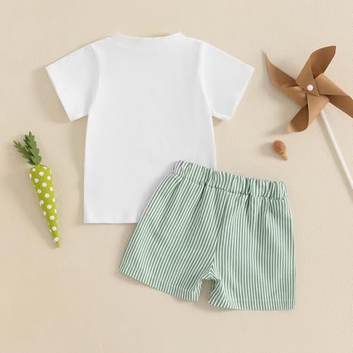 Image of Toddler Baby Boy Easter Rabbit Outfit Short Sleeve Bunny Carrot Smocked T-shirt Elastic Waist Shorts Summer Clothes