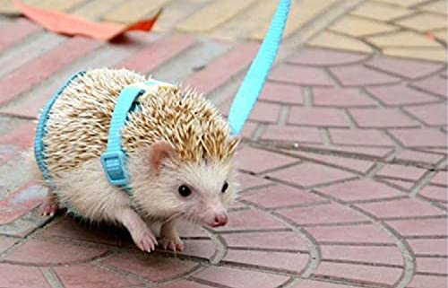 Image of Adjustable Hedgehog Harness for Training Playing Traction Rope Small Animal Pet Outdoor Play (Blue, Fit Small pet)