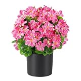 Fowyrt Artificial Geranium Flowers in Pot for Outdoors 14 Inch Fake Plants