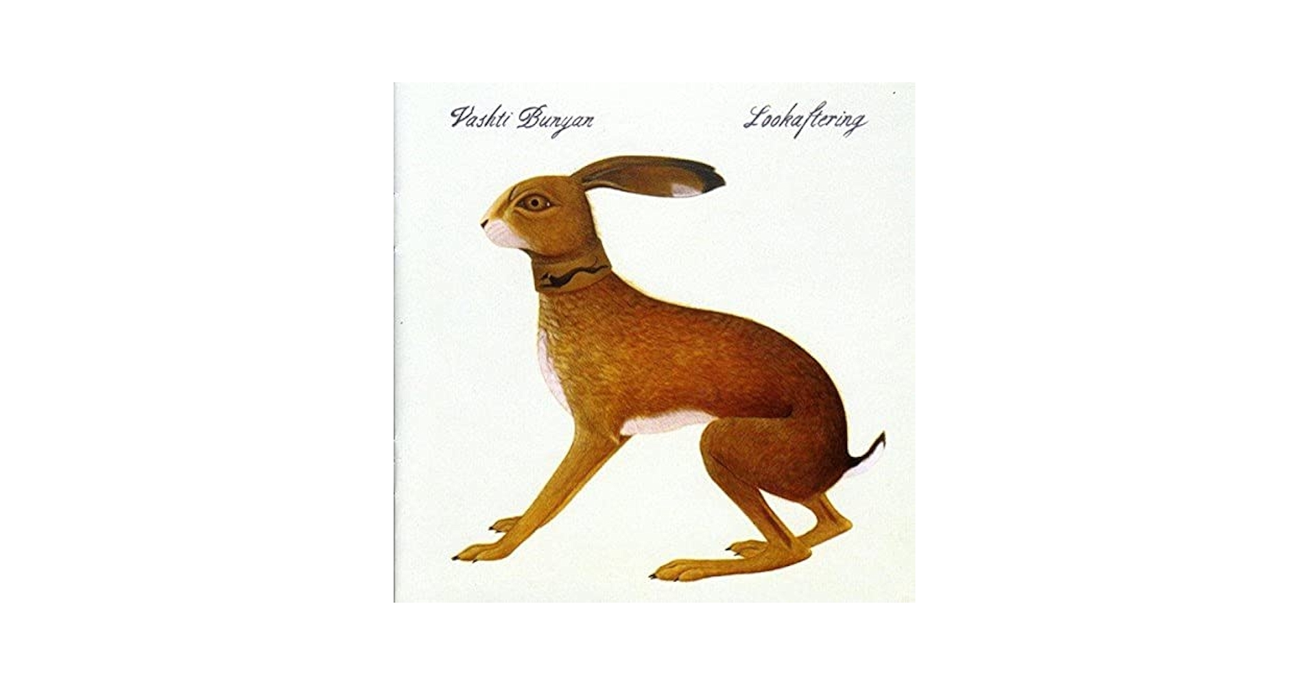 VASHTI BUNYAN / ヴァシュティバニヤン「LOOKAFTERING」 Amazon.co.jp: LOOKAFTERING (EXPANDED EDITION): ミュージック