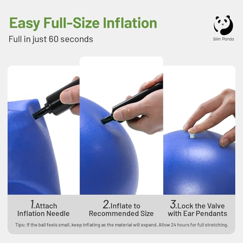 Image of Slim Panda Pilates Ball with Pump, 9 Inch Small Exercise Ball, Anti Burst Mini Yoga Ball for Stability, Workout, Barre, Core Strength, Physical Therapy, Balance, Stretching