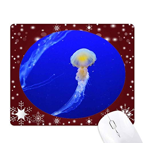 CmNQȊw͎R̎ʐ^ ItBXpS}EXpbh