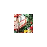 Ghibli My Sweet Ghibli My Sweet [Import]