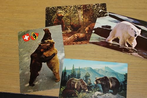  CARTOLINA TEMATICA ANIMALI ORSO ORSI LOTTO 7 di n. 4 cartoline