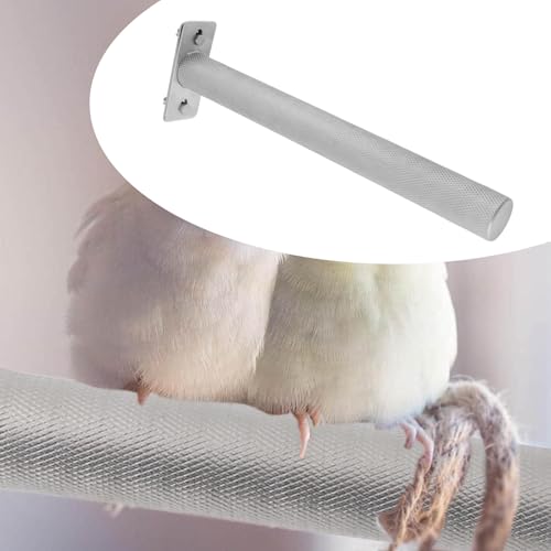 Perchoir perroquet acier inoxydable 30cm pour calopsitte gris africain conure - 3
