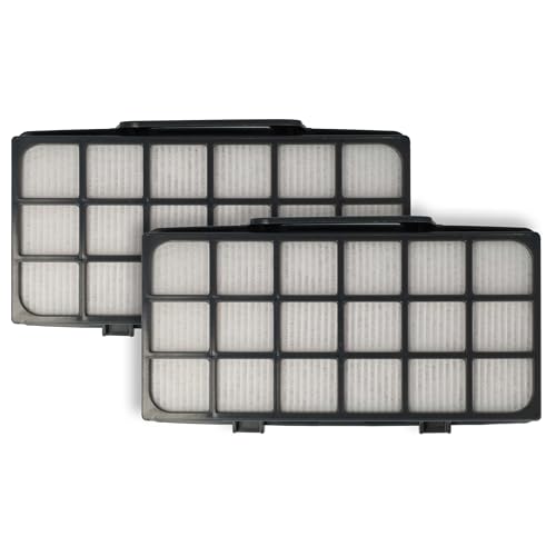 vhbw 2x Filtre post-moteur compatible avec Rowenta Power XXL Home & Car RO3154EA aspirateur - Filtre EPA