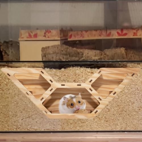 Hamster Tunnel Aus Holz Zum Beobachten, Watchbox Mit Kletterleiter, Spielzeug Für Zwerghamster, Rennmäuse, Mäuse Oder Ähnlich Große Haustiere, DIY