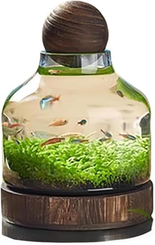 Livmorx {KXAؐgCtAGRfށAiϗpAgpAk͔|~j`AK[fɓKĂ܂ (17*24cm)