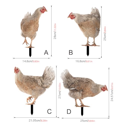 Insert pour pelouse en acrylique avec aspect réaliste 3D poulet
