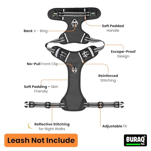 Image of Buraq Pets No Pull Dog Harness | Soft Padded for Small to Large Dogs