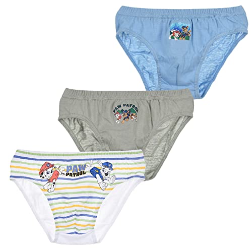 French Market Lot de 3 Slips Coton Garçon La Pat' Patrouille (4-5 Ans, Pack Coton Bio EV3007) Cover