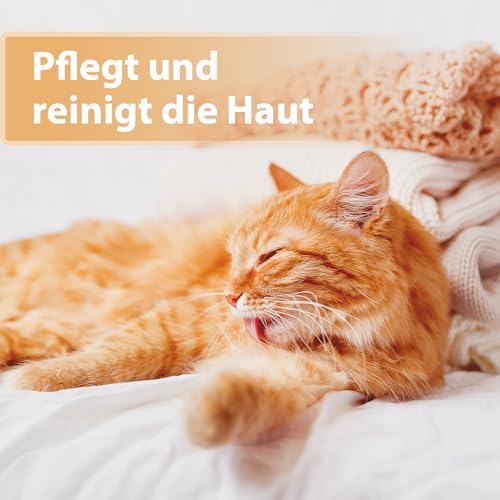 Felisept Wundspray für Katzen 75ml - Wundspray Katze zur Reinigung von Wunden, Haut und Scheimhäuten - Wundpflege Katze - Einfach in der Anwendung und schmerzfrei für die Katze