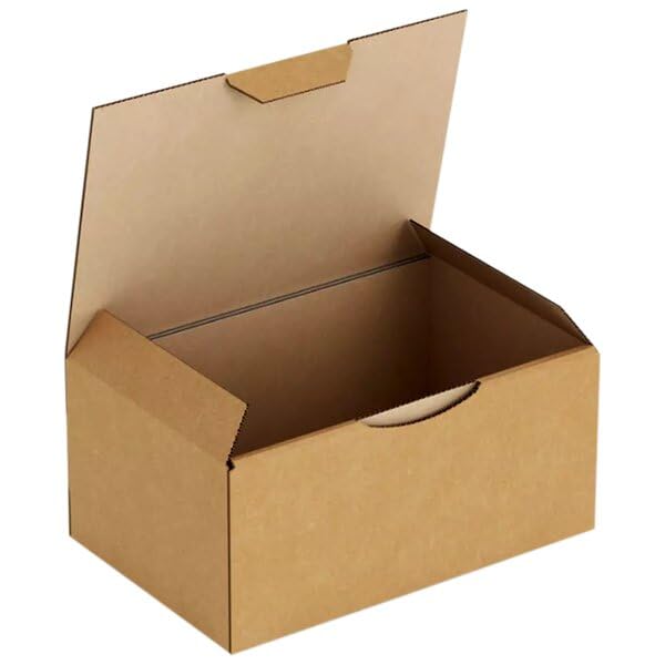 Lot de 50 Boîtes Postales en Carton Brun dimension 250x200x100 mm - boite d'expédition et envoi postal tous produits