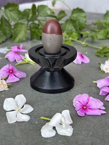 Image of Shivam VASTU AKAL 1.5 inch Original Narmadeshwar Narmada Shivling with 3 inch Narmada Stone Yoni Base Jaladhari (Mahamratunjay Shivling, Black Damtu Jaladhari)
