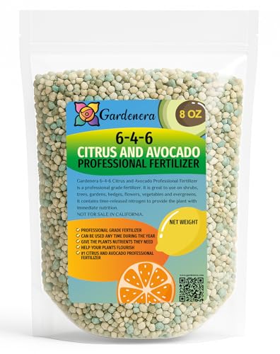 6-4-6 Avocado Citrus Tree Plant Food for Outdoor/Indoor Gardening | Quick-Release Nitrogen Fertilizer | Orange Lime Avocado and Lemon Tree Fertilizer [8 OZ]