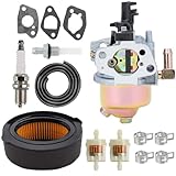 Hippotech 951-12785 Vergaser 951-10794 Luftfilter für Cub Cad MTD Troy-Bilt Pinne 951-12124 751-10797 951-10797 Huayi OEM Vergasermotor 163CC 2500PSI Hochdruckreiniger mit Dichtungssatz