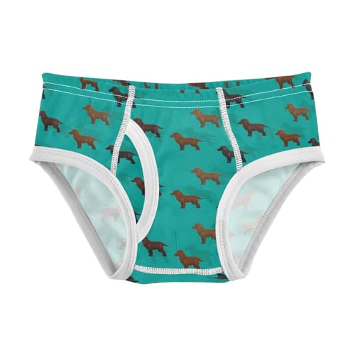 Cotton Little Boys Briefs Soft Spaniel Dog Toddler Underwear