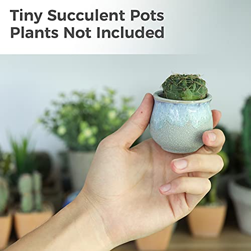 T4U Small Ceramic Succulent Pots With Drainage Set Of 12, Mini Pots For Plants, Tiny Porcelain Planter, Air Plant Flower Pots Cactus Faux Plants Containers, Modern Decor For Home And Office #TOP5
