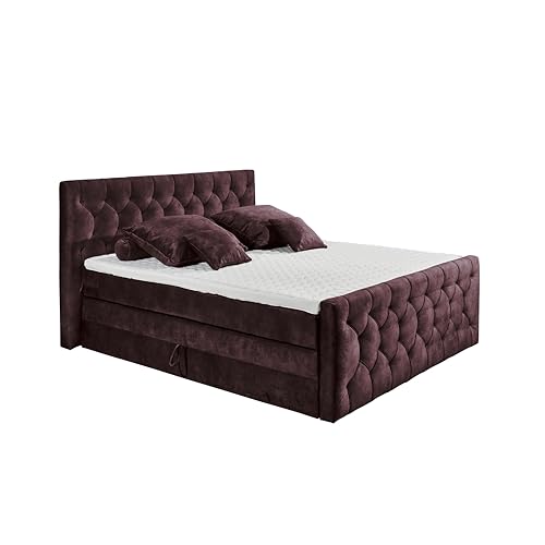 CASHFIELD 8 Boxspringbett mit Bettkasten 180x200, Aubergine - Bequemes Doppelbett mit 7-Zonen-Federkern Matratze & Kaltschaum Topper mit Klimaband - 200 x 113 x 225 cm (B/H/T)