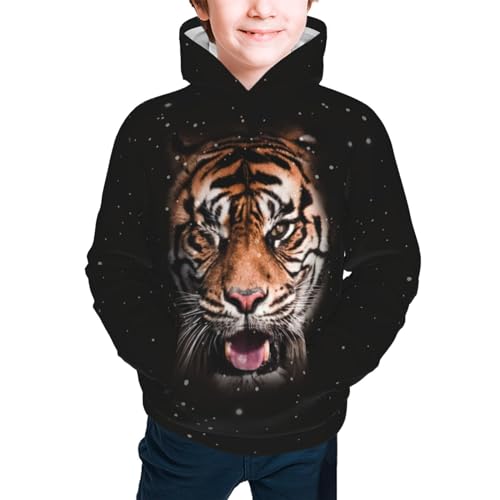 Galaxy Tiger Boy, Girls Sports Shirt Youth Pullover Fashion Hooded Sweatshirt - Main Image
