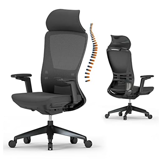 FANMEN Home Office Desk Chair, Ergonomic Mesh Executive Office Chair with 3 Position Tilt Function, Comfortable High Back Black Computer Chair with 3D Adjustable Armrest & Lumbar Support
