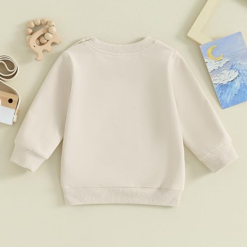 Toddler Baby Boys Sweatshirts Long Sleeve Crewneck Solid Color Pullover Fall Tops4