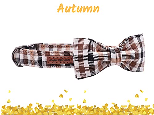 Unique style paws Herbst Hundehalsband, Fliege Hundehalsband, bequem verstellbare Hundehalsbänder Haustier mittelgroße Hunde