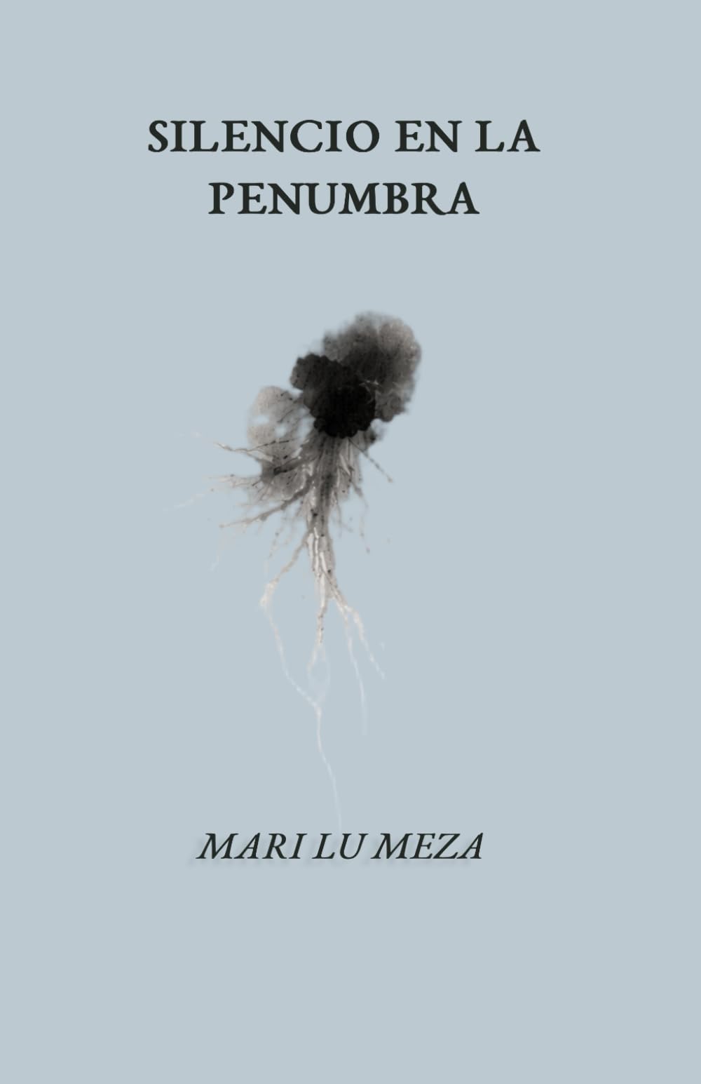 silencio en la penumbra