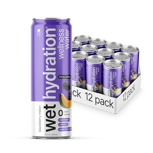Image of Wet Hydration | Functional Wellness Water, Non-Carbonated - Blackberry Melon (12 Ounce Cans, Pack of 12) - Flavored Water, Hydration Drink, No Sugar, No Artificial Ingredients, Zero Calories (Packaging May Vary)