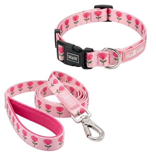 Image of Wag and Wilder Dog Collar and Leash Set Medium for Beagle, Pit Bull Terrier & Boxer - Heavy Duty Adjustable Collar & 5 FT Leash Combo, Jaipur Bloom Pink