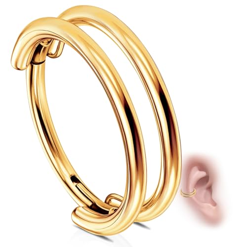 WBRWP G23 Titanium Cartilage Earring Hoop: 16G 10mm Conch Piercing Jewelry Double Hoop Nose Septum Rings Hypoallergenic Hinged Segment Clicker Rook Daith Tragus Earrings