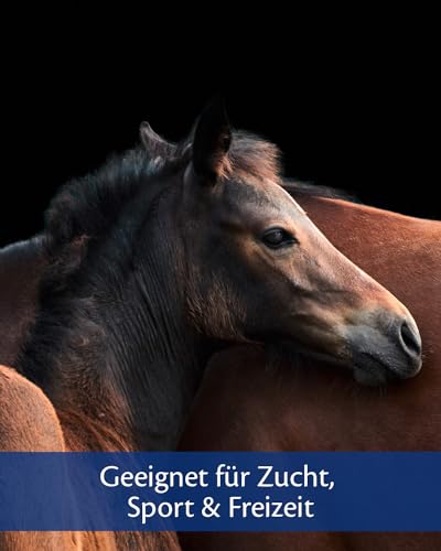 EQUISTRO® Kerabol Biotin| Ergänzungsfuttermittel für Pferde | Fördert EIN gesundes Hufwachstum und Fellwachstum| Soforthilfe bei geschädigtem Hufhorn | 1.000g