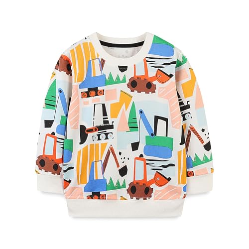 Boys Sweatshirts Casual Sweatshirts Cotton Sweatshirts Long Sleeve T-shirts Crew Neck Cartoon Tops for Boys-288