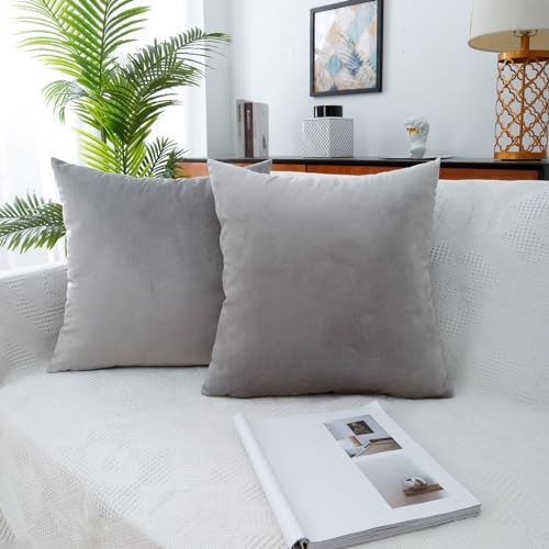 MoonRest - Pack of 2, Velvet Decorative Throw Pillow Filled