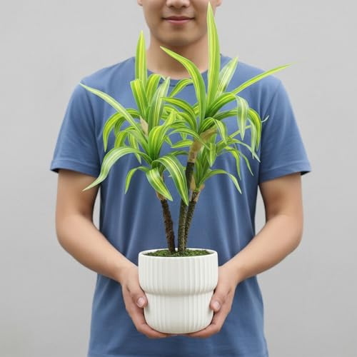 Image of KARP Artificial Potted Plants, 45Cm Height Faux Dracaena Fragrans Massangeana Plant with White Pot Home Decor, Indoor Artificial Ornamental Plants for Living Room, Office Desk & Bathroom, Decorative