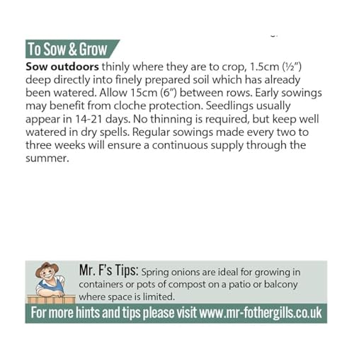 Mr Fothergill's Onion (Spring) White Lisbon