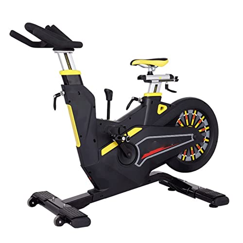 WALFREW Bicicleta estática Equipo de Deportes Especial del Volante Trasero del Control magnético de la Bici de Giro para el Gimnasio