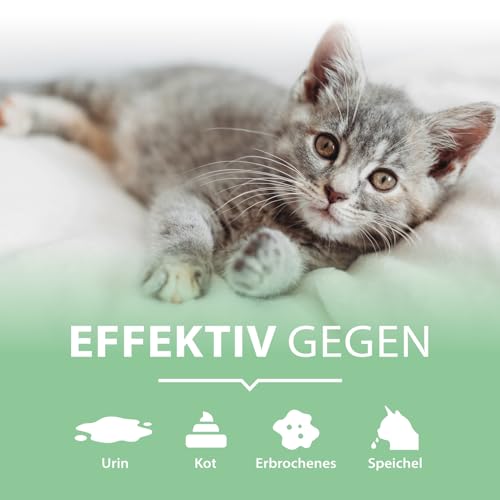 Enzymreiniger Katzenurin 750 ml – extrem stark gegen Katzenpipi, Uringeruch und Flecken – biologisch, tierfreundlich, geruchsneutralisierend – für Sofa, Teppich, Textilien, Auto, Katzenklo – Pipi-Weg
