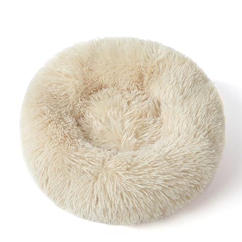 SHIHEER LpnEX ybgxbh ӂӂ 􂦂 p ~p ʔNp h ۉ LbgnEX ^`^L p  ΍ g  3-YUANCMRO