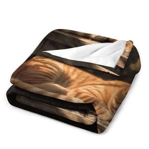 Couverture flanelle chat orange 152x203 cm pour canapé
