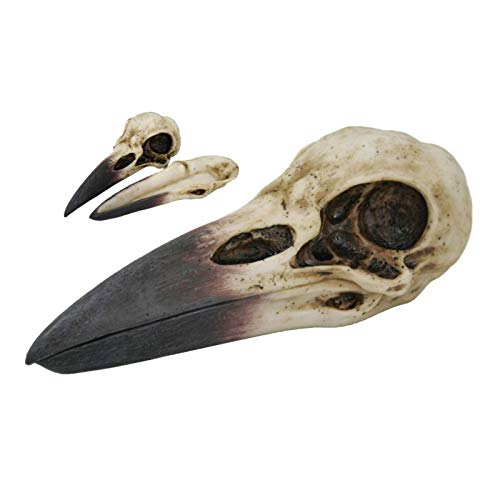 Pacific Giftware Raven & Skull Desk Statue (Slim Profile)