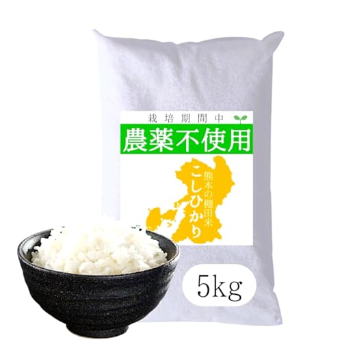 _  RVqJ F{Y V ߘa6NY 190Hȏ̏o׎ (5kg)