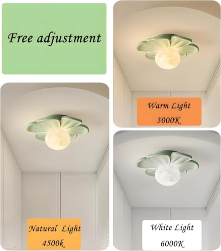 Lámpara de techo de flor pequeña para iluminar pasillos oscuros y techos bajos 5