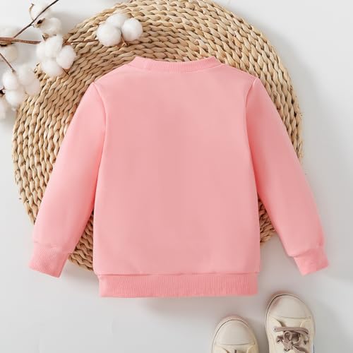 Baby Girl First Birthday Outfit in My One Year Old Era Sweatshirt Tops Cute Fall Shirt Girls 1st Birthday Clothes3