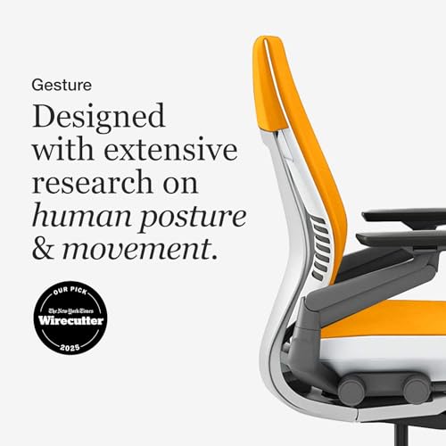 Steelcase Leap V2 ergonomic chair